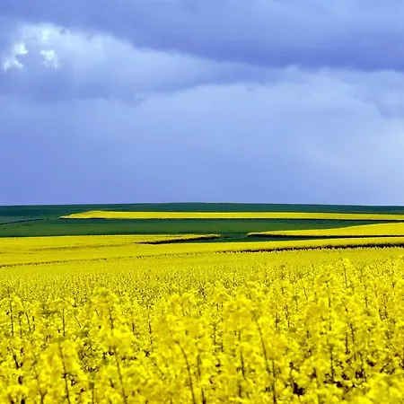 Appartement Maifeld-fewo Rhapsodie