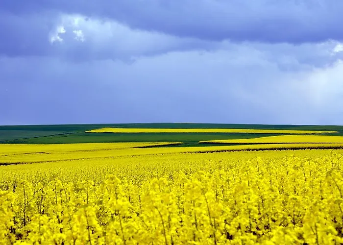 Lägenhet Maifeld-fewo Rhapsodie